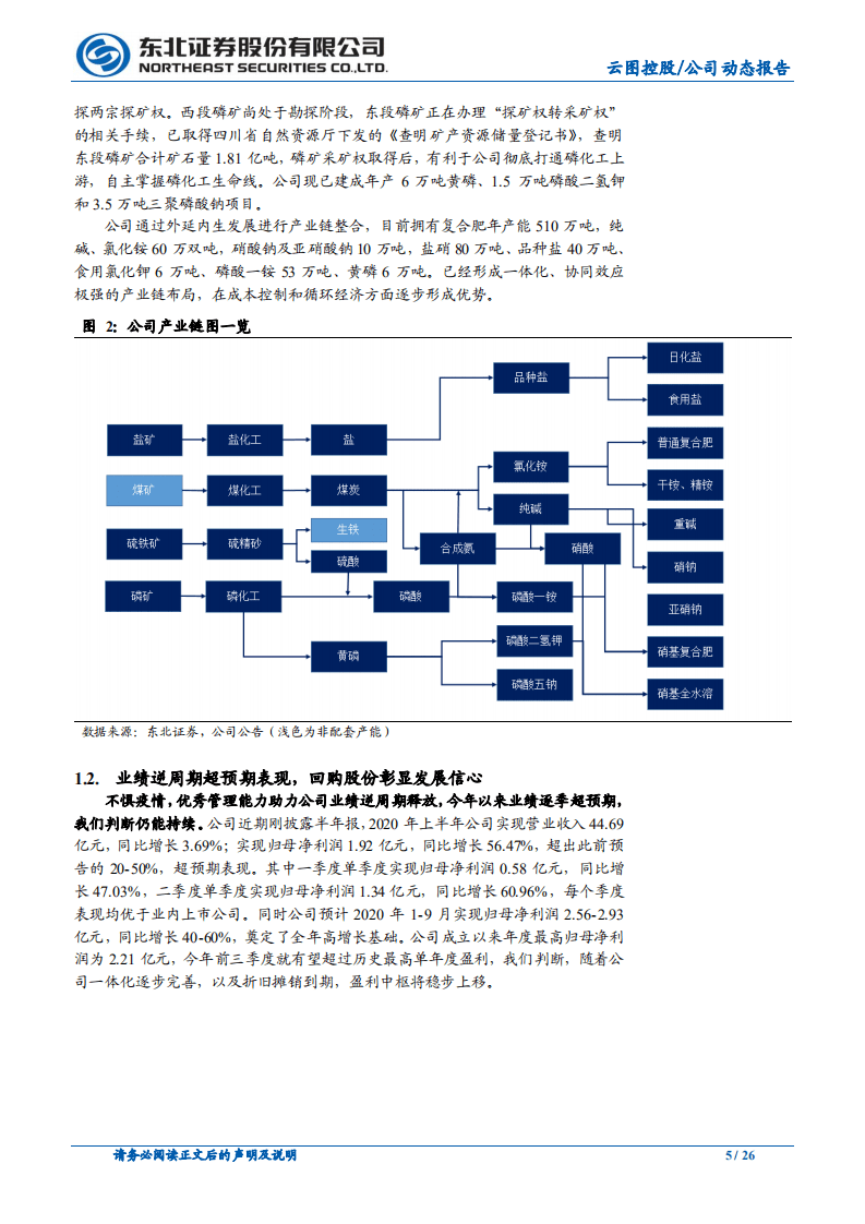 云图控股-产业链布局成功，进入业绩高增时期-20200910.pdf 第5页