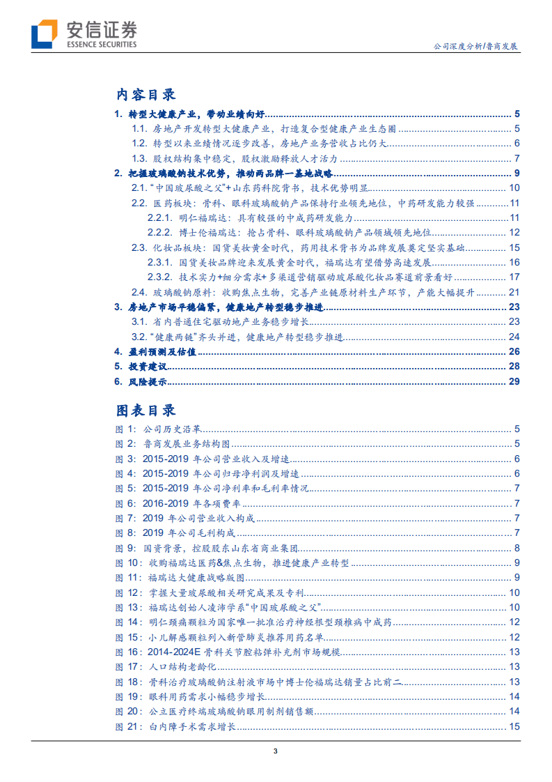 鲁商发展-踏浪玻尿酸，转型大健康-20200813.pdf 第3页