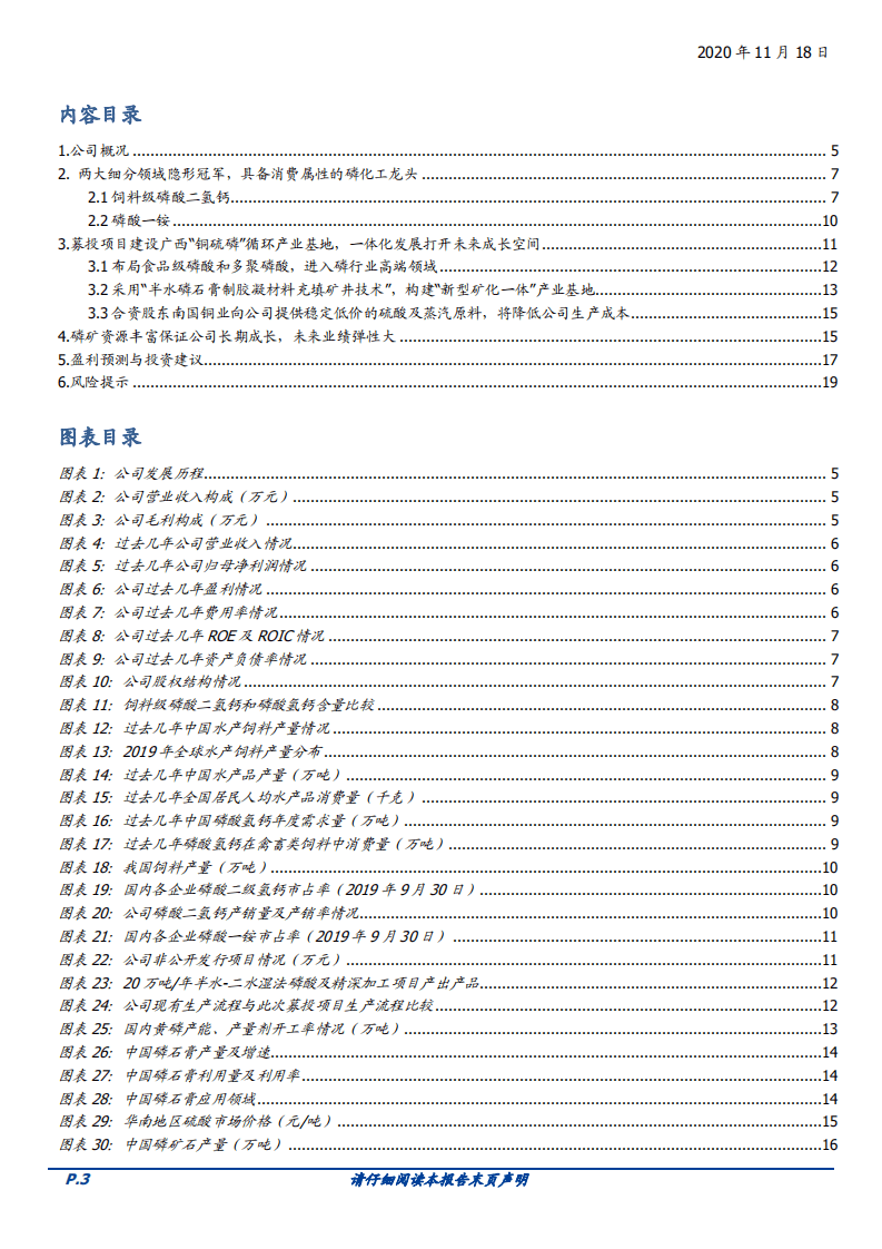 2020年川恒股份建设广西&ldquo;铜硫磷&rdquo;循环产业基地，具备消费属性的磷化工差异化龙头-20201118.pdf 第1页