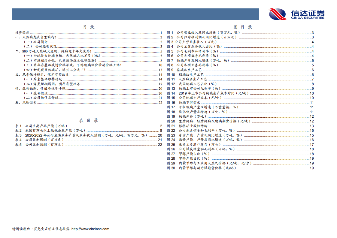 远兴能源-深度报告：800万吨天然碱矿大发现，纯碱十年新征程正起航！-20200901.pdf 第4页