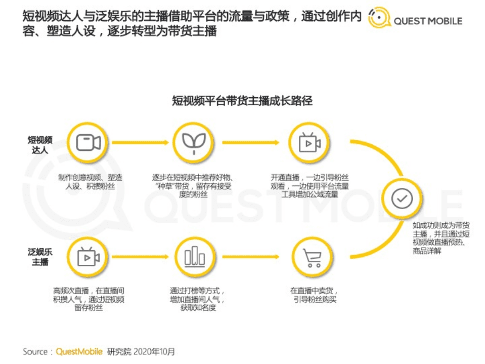 2020短视频KOL直播电商洞察报告.pdf 第6页
