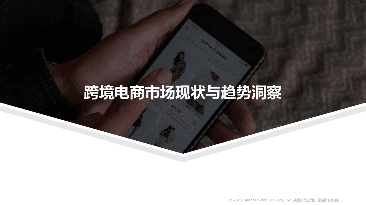 亿欧智库：2021跨境电商市场机遇与技术趋势研究.pdf 第4页