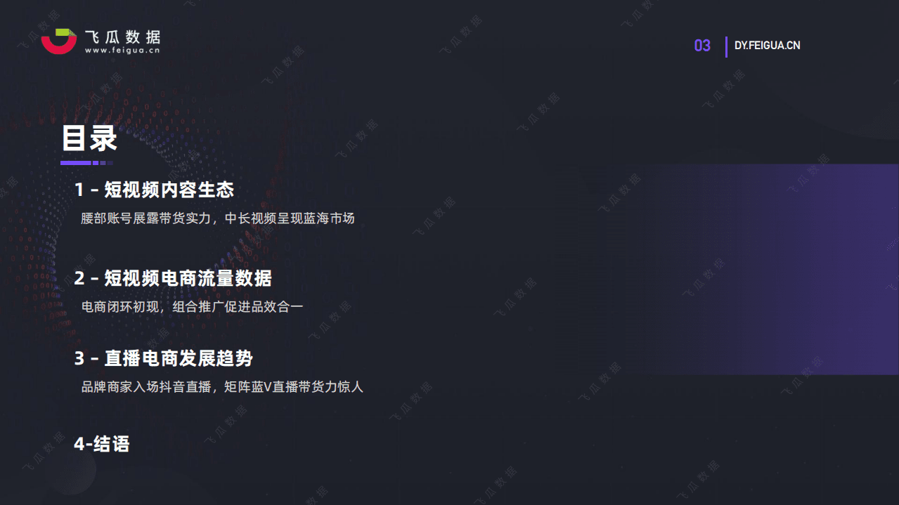 飞瓜数据：2020年短视频及电商直播趋势报告.pdf 第4页