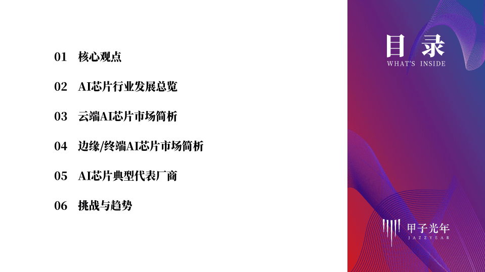 甲子光年：2021年中国AI芯片发展简报及典型厂商案例，中国AI&ldquo;芯&rdquo;势力.pdf 第2页