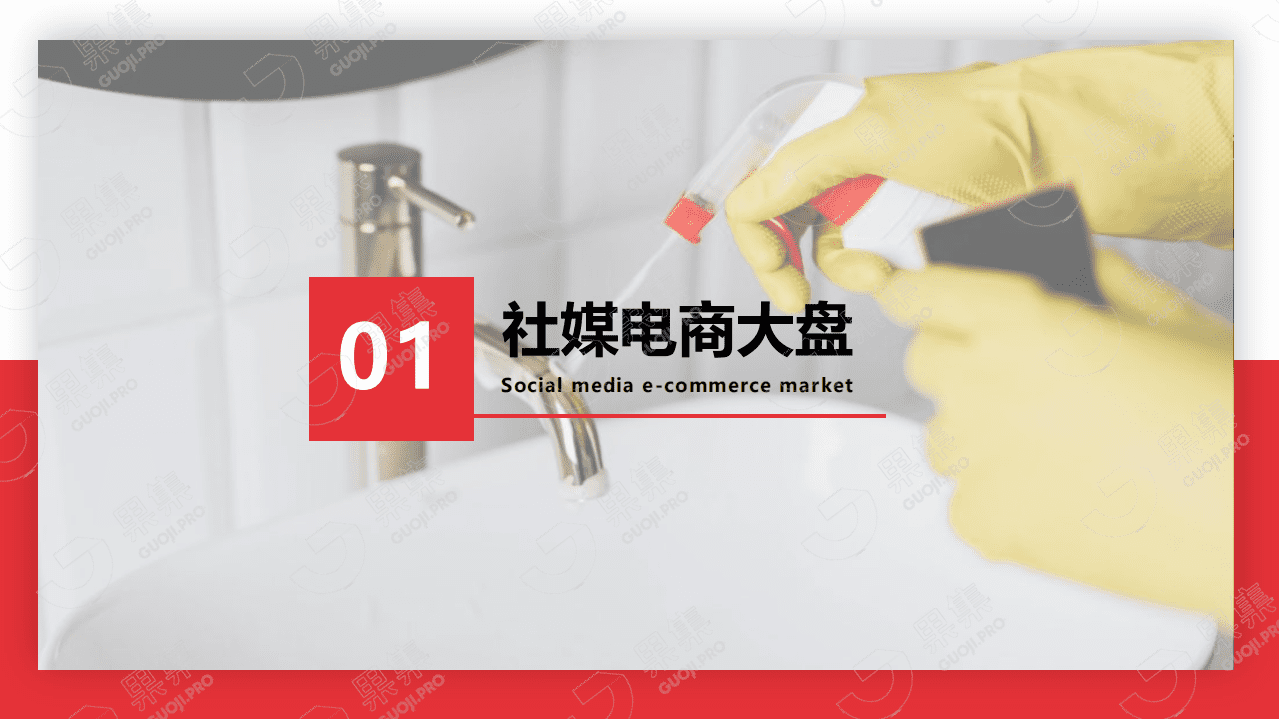果集数据：2021年双11个护家清行业社媒营销分析报告.pdf 第3页