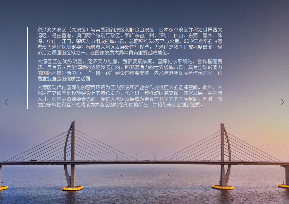 仲量联行：大湾区房地产指南.pdf 第2页