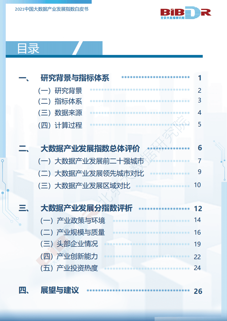北京大数据研究院：2021中国大数据产业发展指数白皮书.pdf 第2页