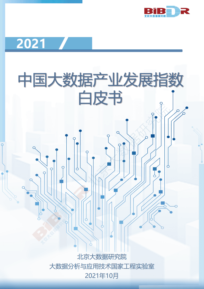 北京大数据研究院：2021中国大数据产业发展指数白皮书.pdf 第1页