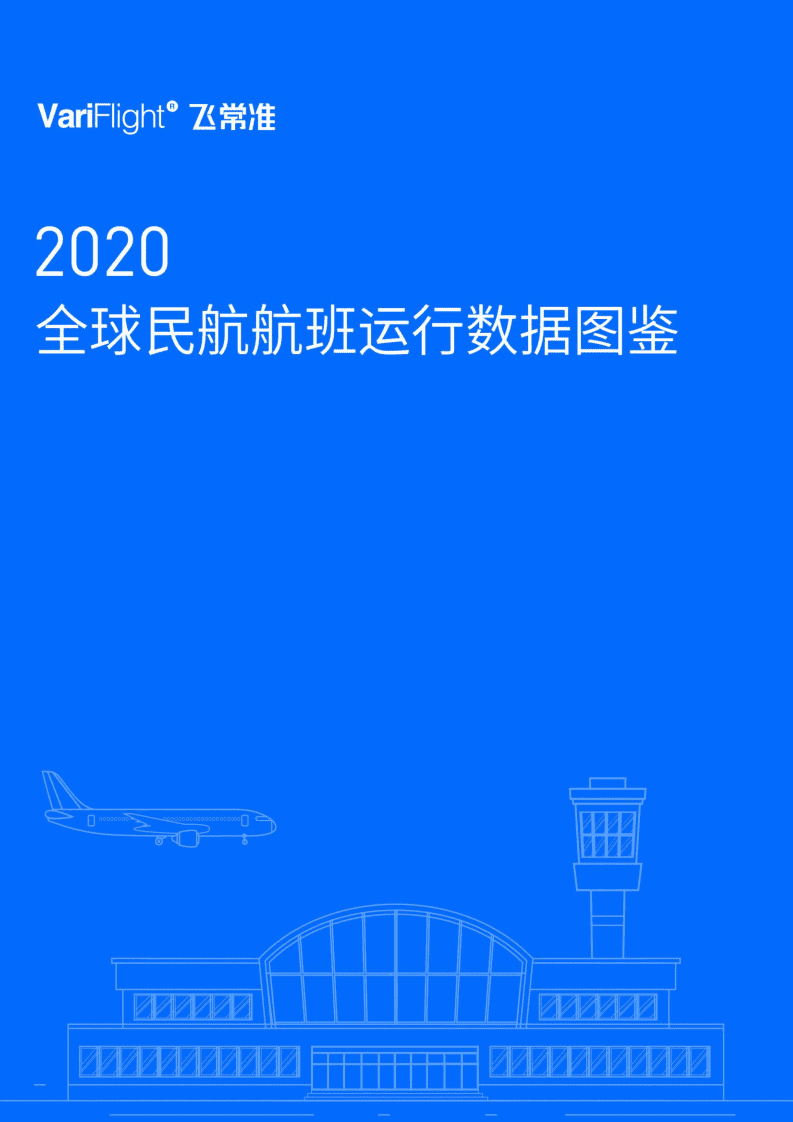 飞常准大数据：2020年全球民航航班运行数据图鉴.pdf 第1页