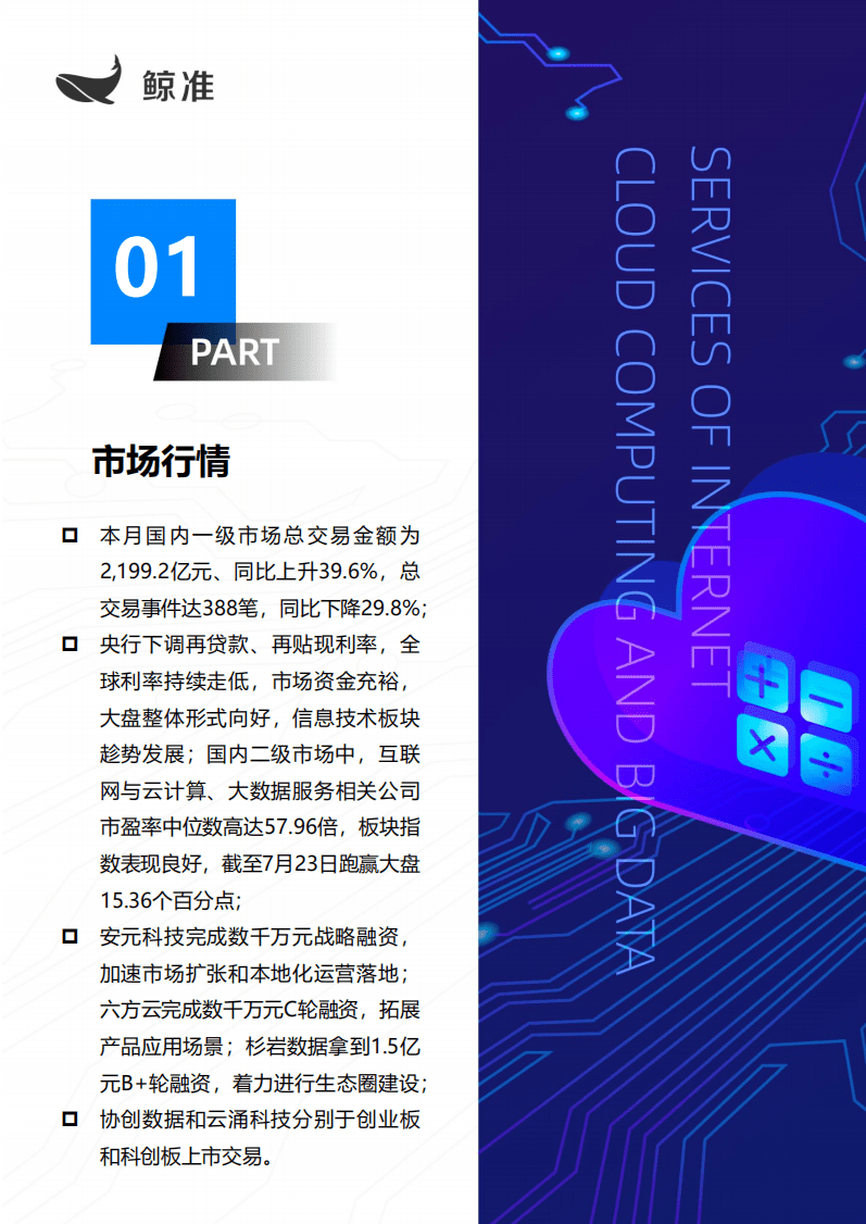 鲸准研究-新一代信息技术行业：互联网与云计算、大数据服务.pdf 第2页
