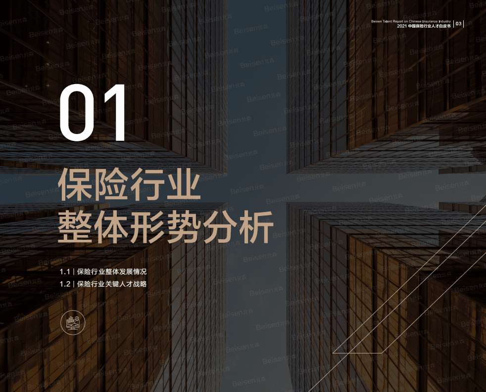 北森：2021中国保险行业人才白皮书.pdf 第4页