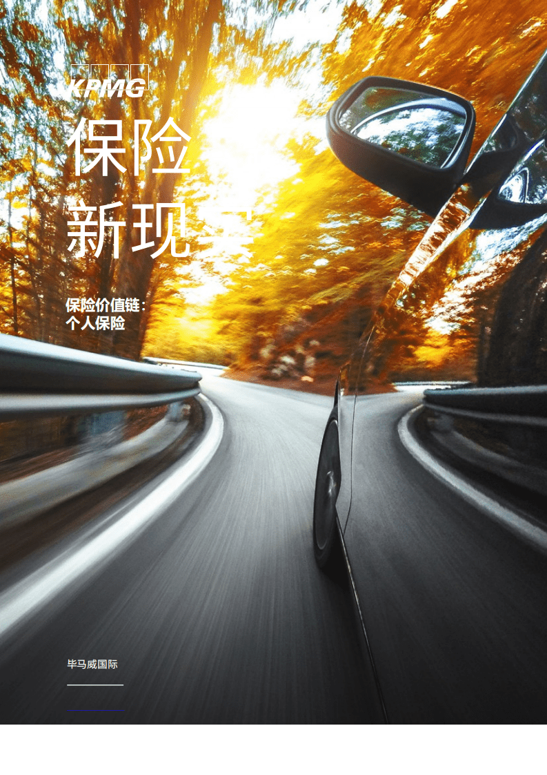 毕马威：保险价值链-个人保险，保险新现实.pdf 第1页