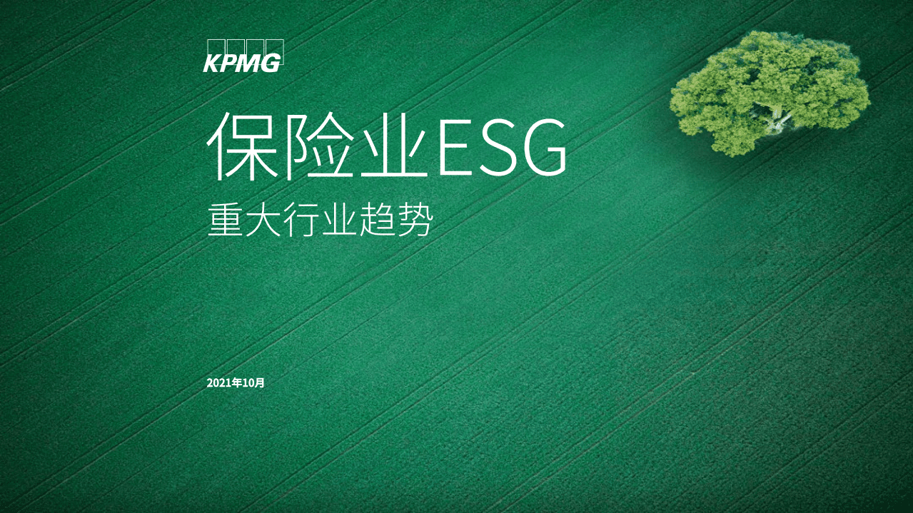 毕马威：保险业ESG重大行业趋势.pdf 第1页