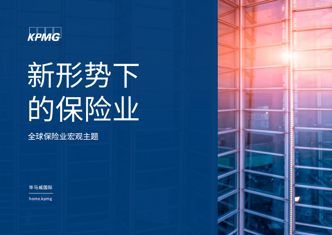 毕马威：新形势下的保险业.pdf 第1页
