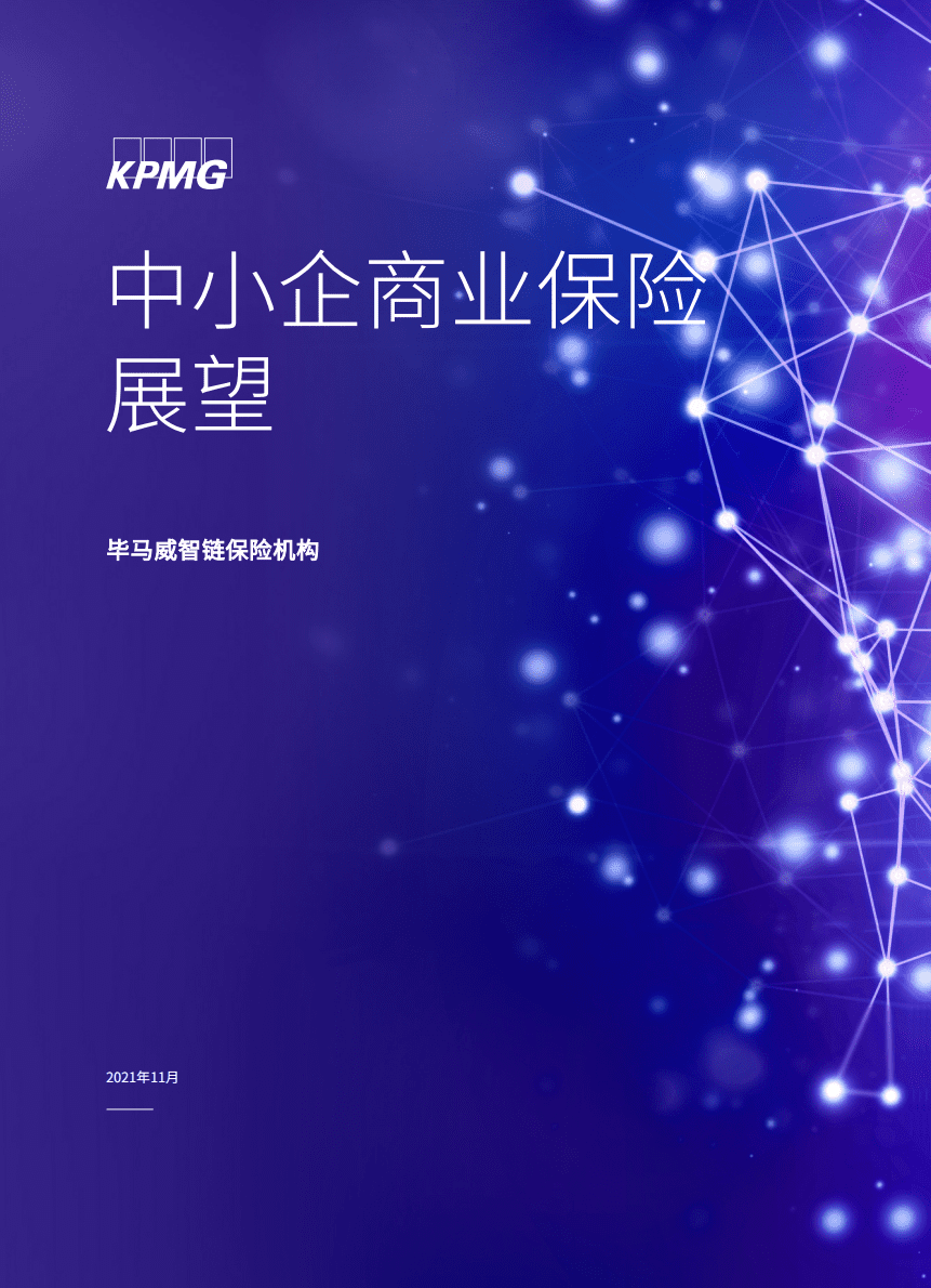 毕马威：中小企业商业保险展望.pdf 第1页