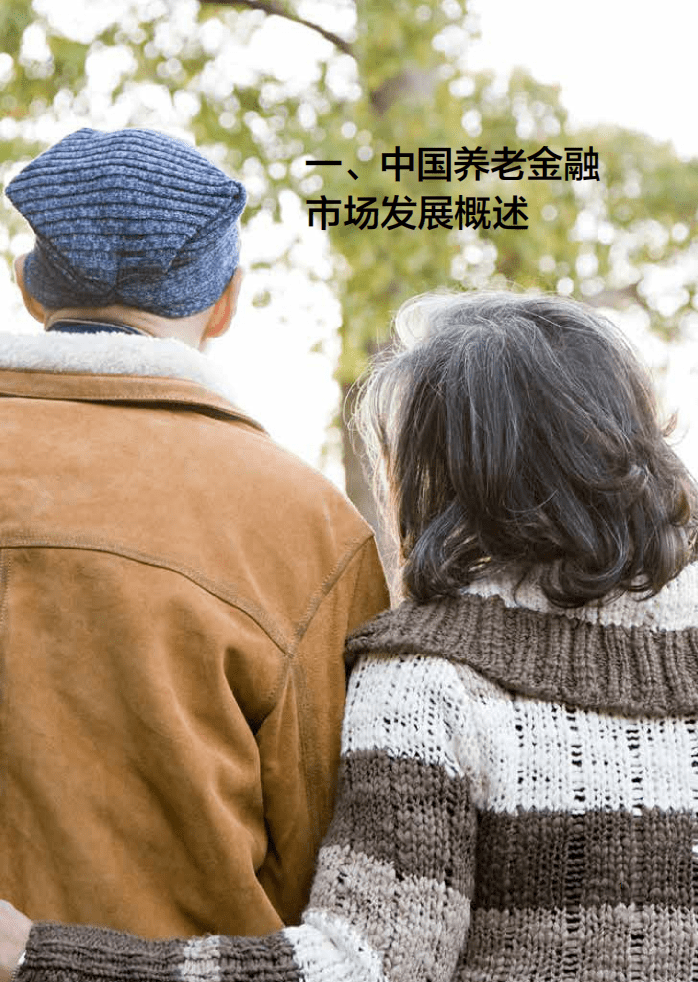 德勤：人口老龄化下的养老保险发展之道.pdf 第6页