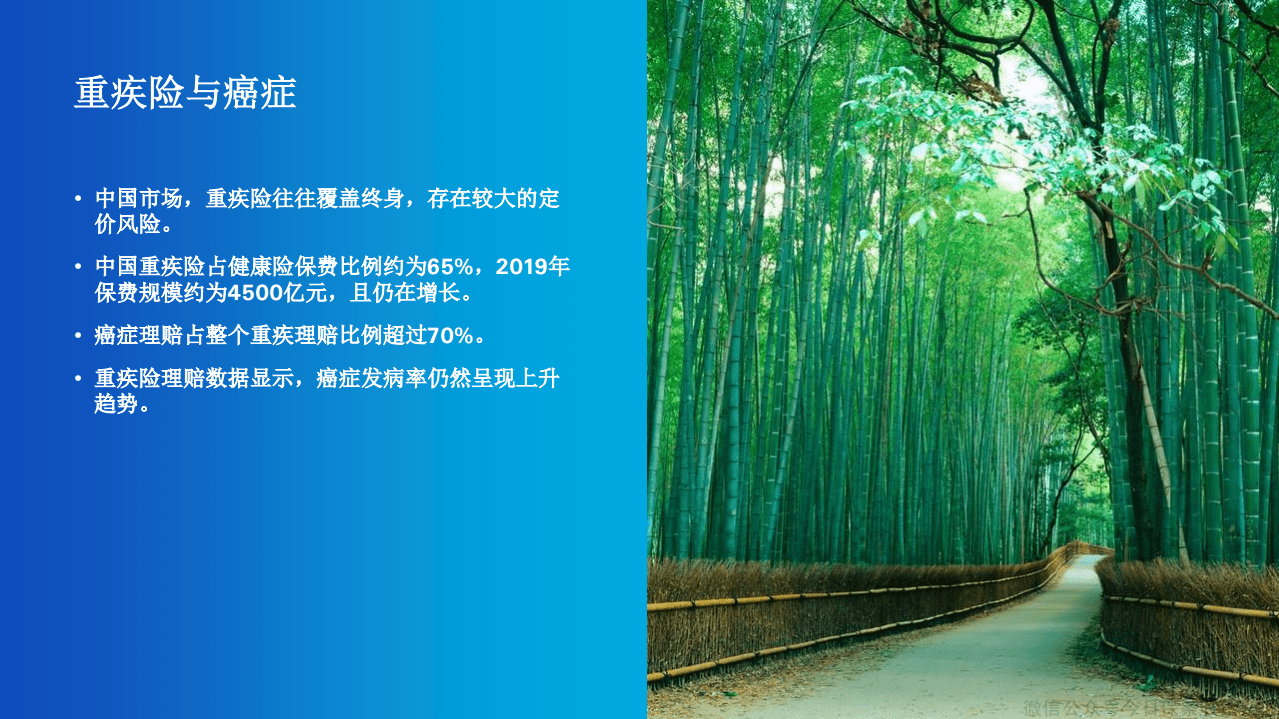瑞士再保险：保险行业-云端研讨会重疾险系列.pdf 第6页