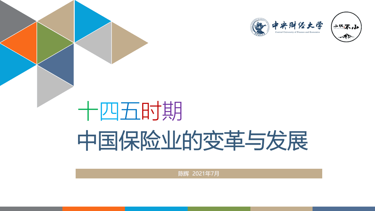 中央财经大学：十四五时期中国保险业的变革与发展.pdf 第1页