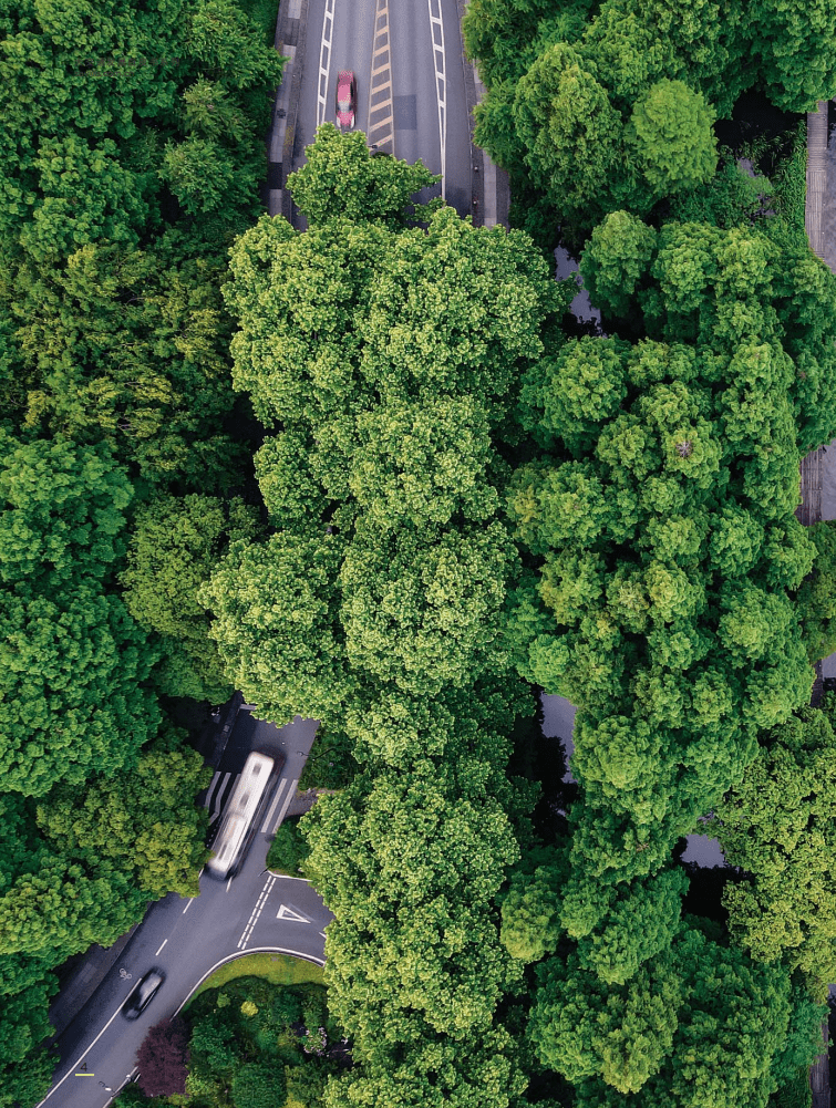 第一太平戴维斯：商业在途&mdash;&mdash;高速公路特辑.pdf 第3页