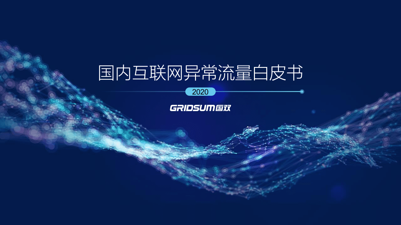 国双：国内互联网异常流量白皮书.pdf 第1页