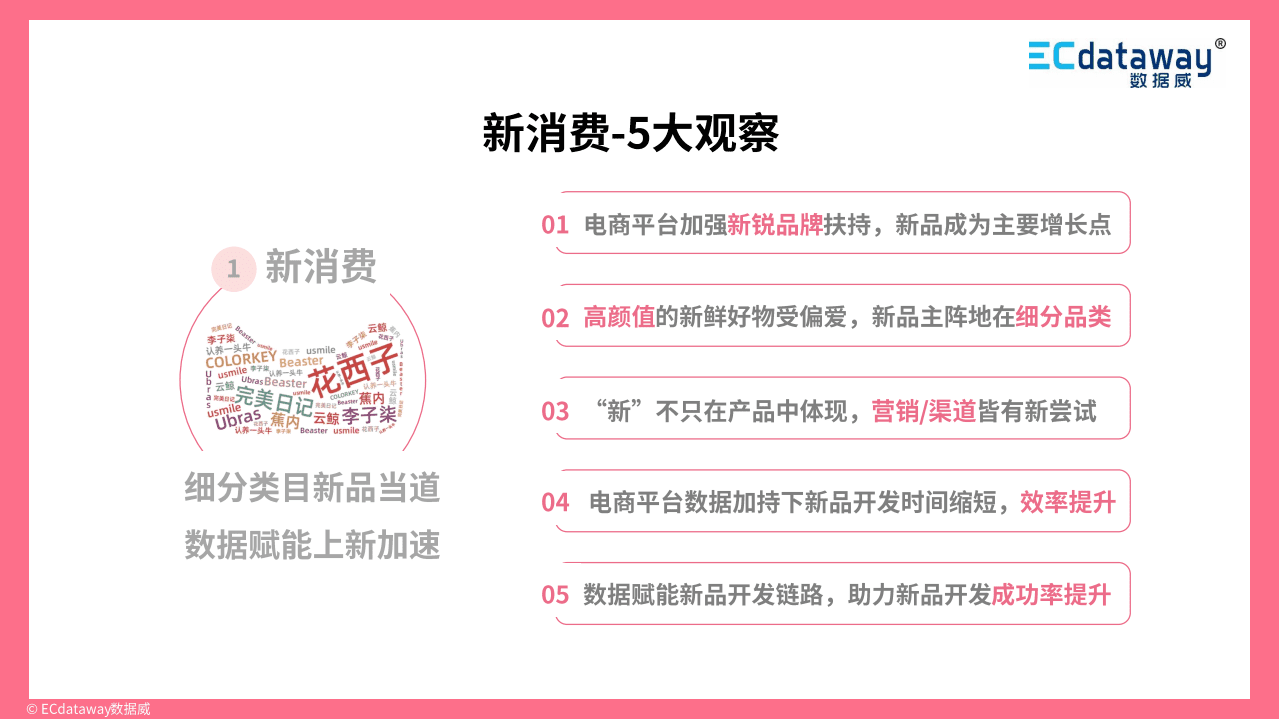 数据威：2021互联网趋势解读与展望.pdf 第5页