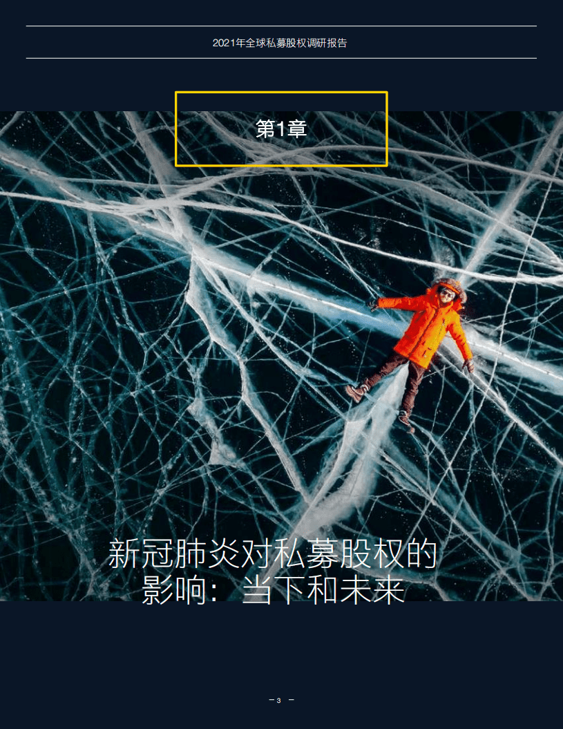 安永：2021年全球私募股权调研报告.pdf 第3页