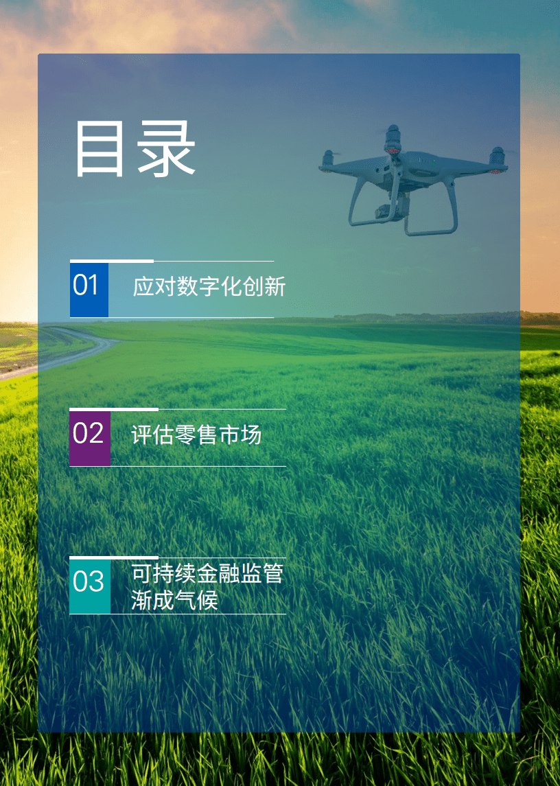 毕马威：毕马威监管视界-金融服务监管.pdf 第2页