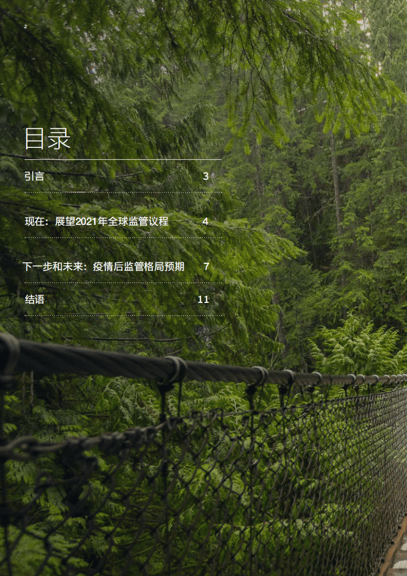 安永：2021年全球银行监管展望.pdf 第2页