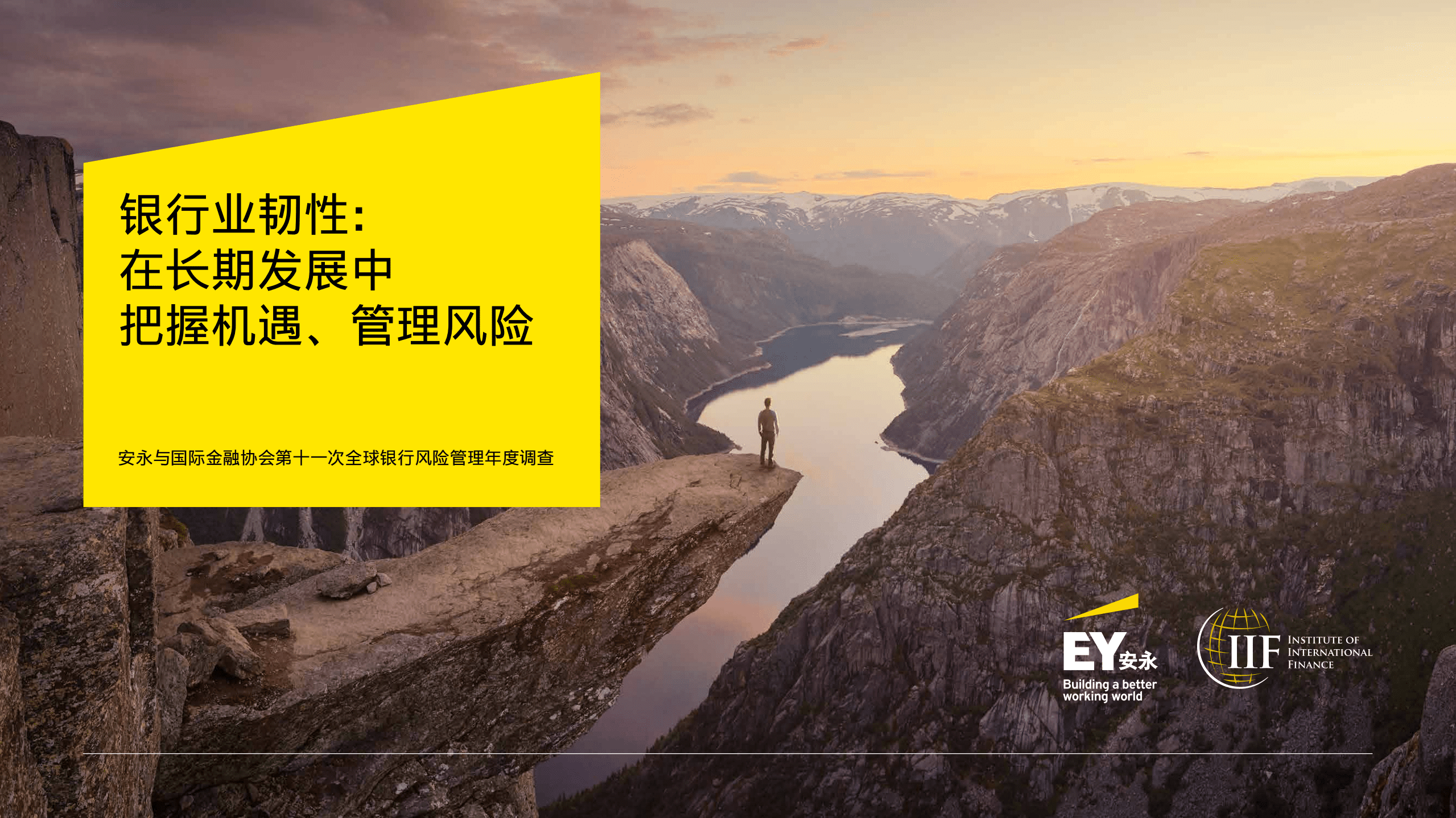 安永：银行业韧性-在长期发展中把握机遇，管理风险.pdf 第1页