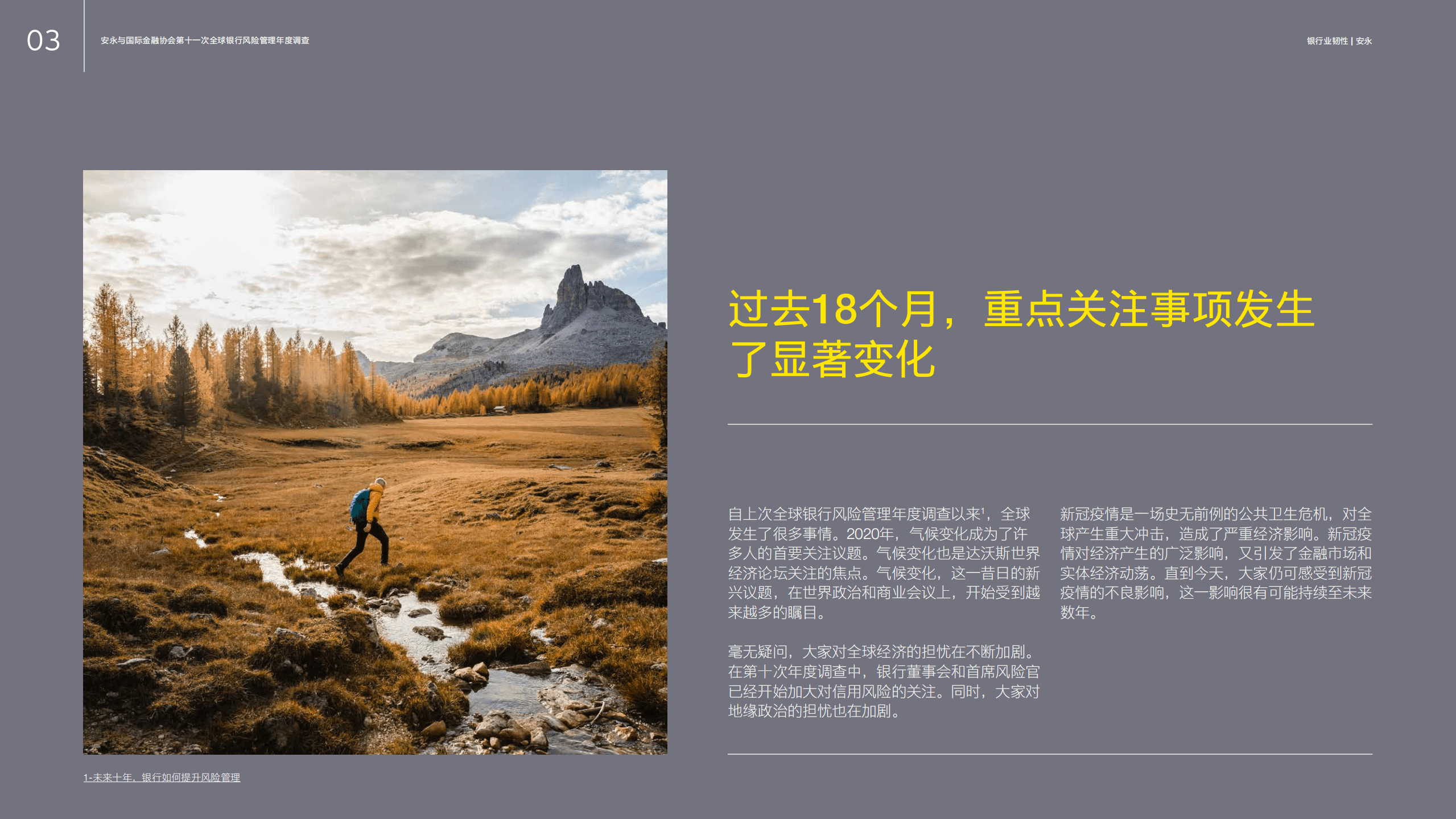 安永：银行业韧性-在长期发展中把握机遇，管理风险.pdf 第3页