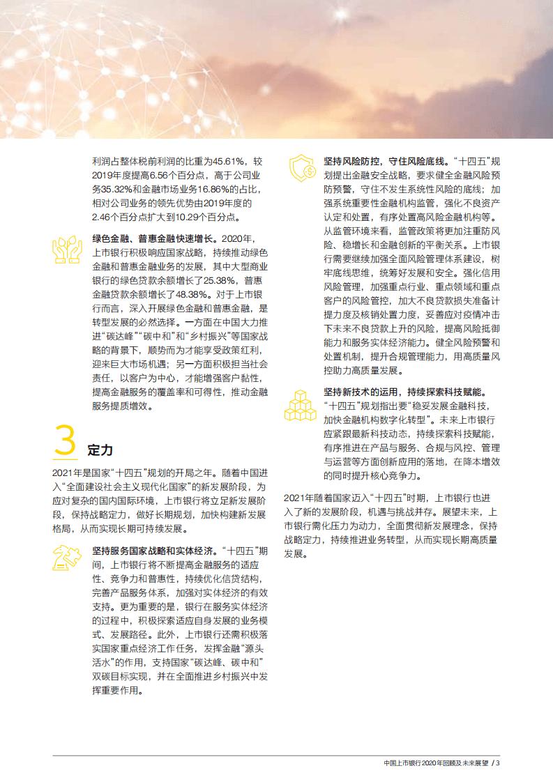 安永：中国上市银行2020年回顾及未来展望.pdf 第5页