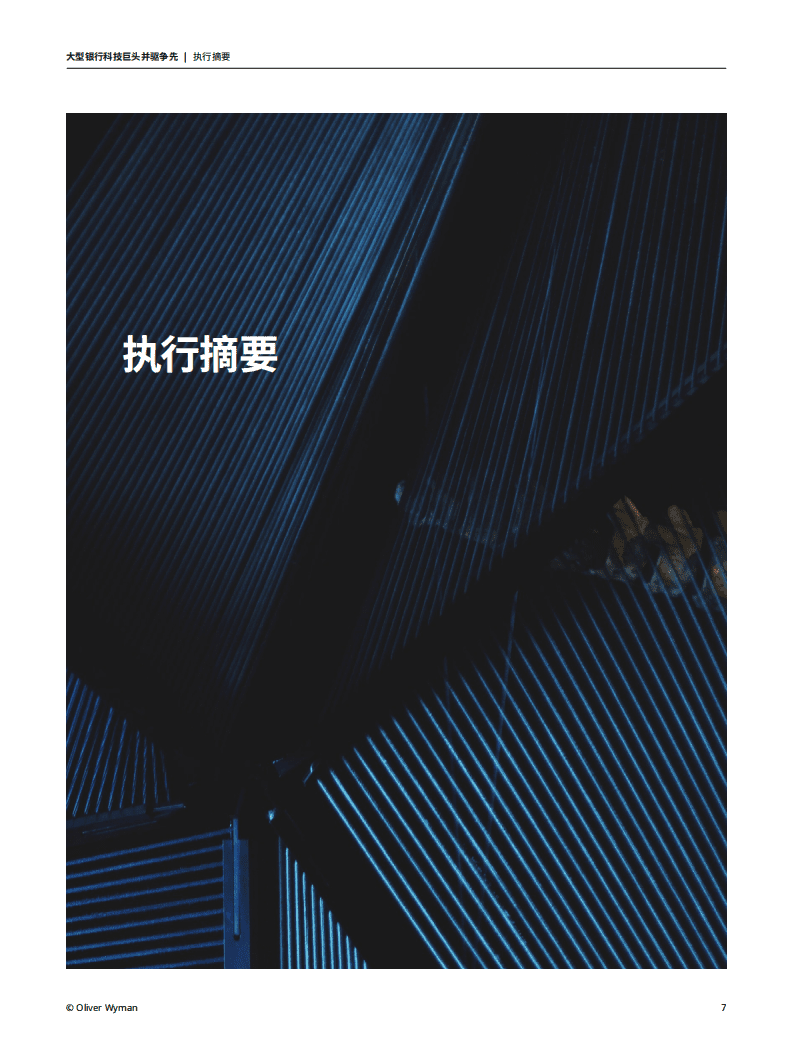 奥纬咨询：大型银行科技巨头并驱争先.pdf 第6页