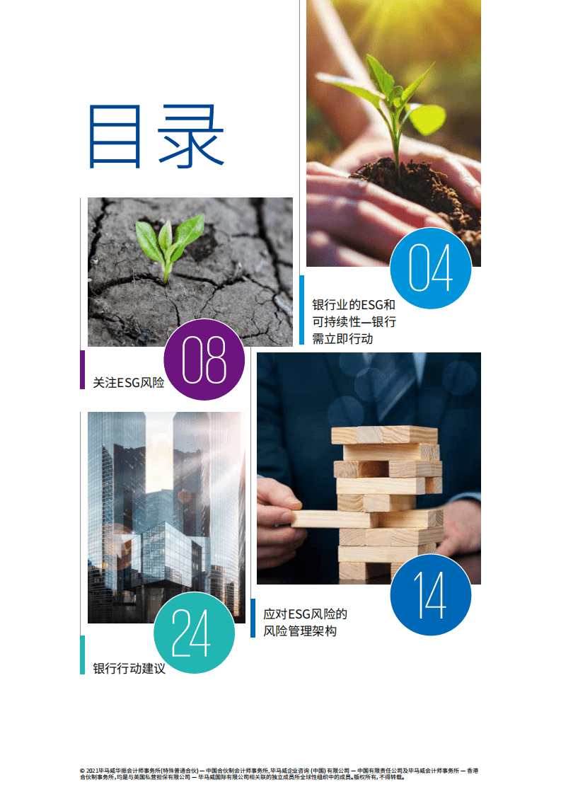 毕马威：银行的&ldquo;环境、社会及治理&rdquo;风险.pdf 第3页