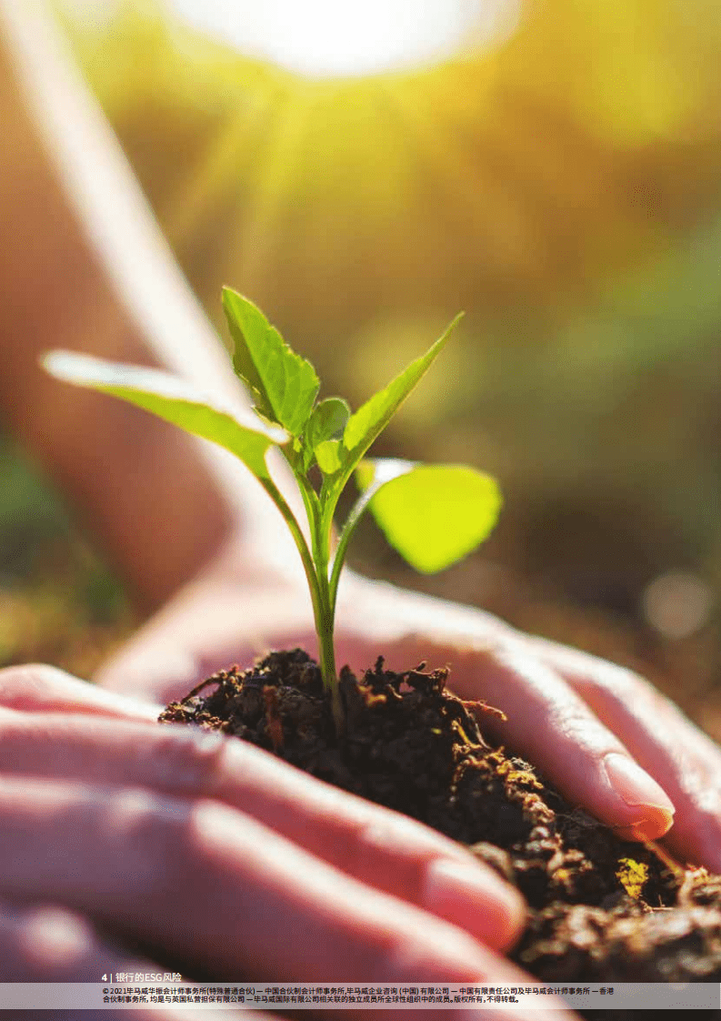 毕马威：银行的&ldquo;环境、社会及治理&rdquo;风险.pdf 第4页