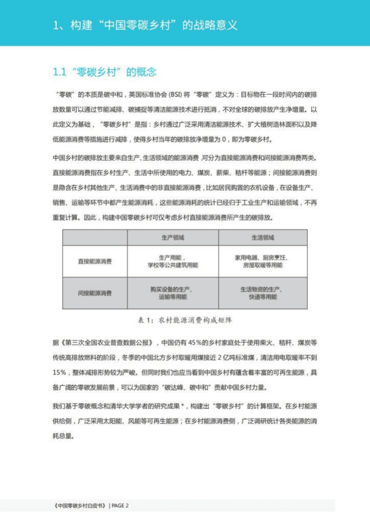 国家电投：中国零碳乡村白皮书&mdash;整县推进综合解决方案.pdf 第5页