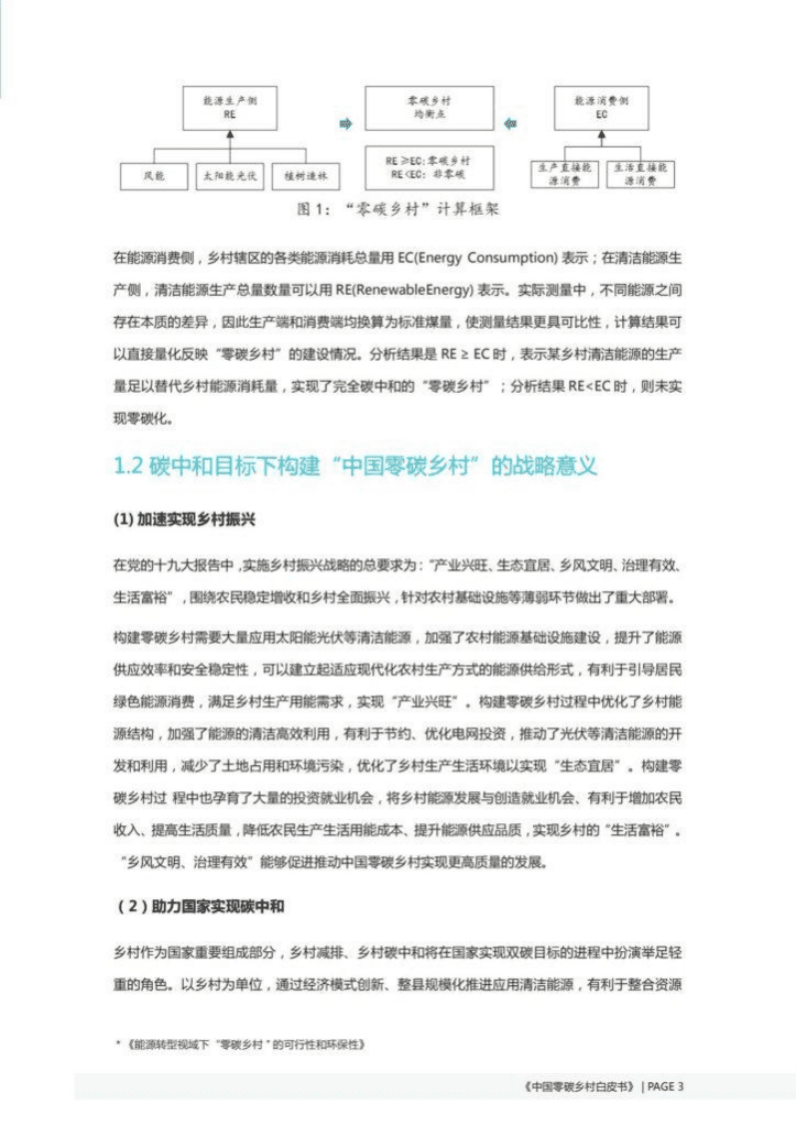 国家电投：中国零碳乡村白皮书&mdash;整县推进综合解决方案.pdf 第6页