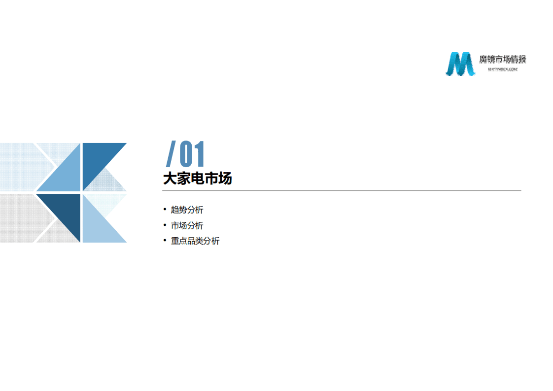 魔镜市场情报：家电市场趋势研究.pdf 第4页