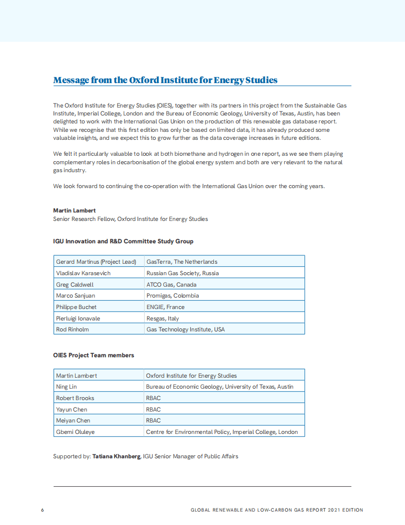 国际煤气联盟：全球可再生和低碳气体报告（2021版）（英文版）.pdf 第5页