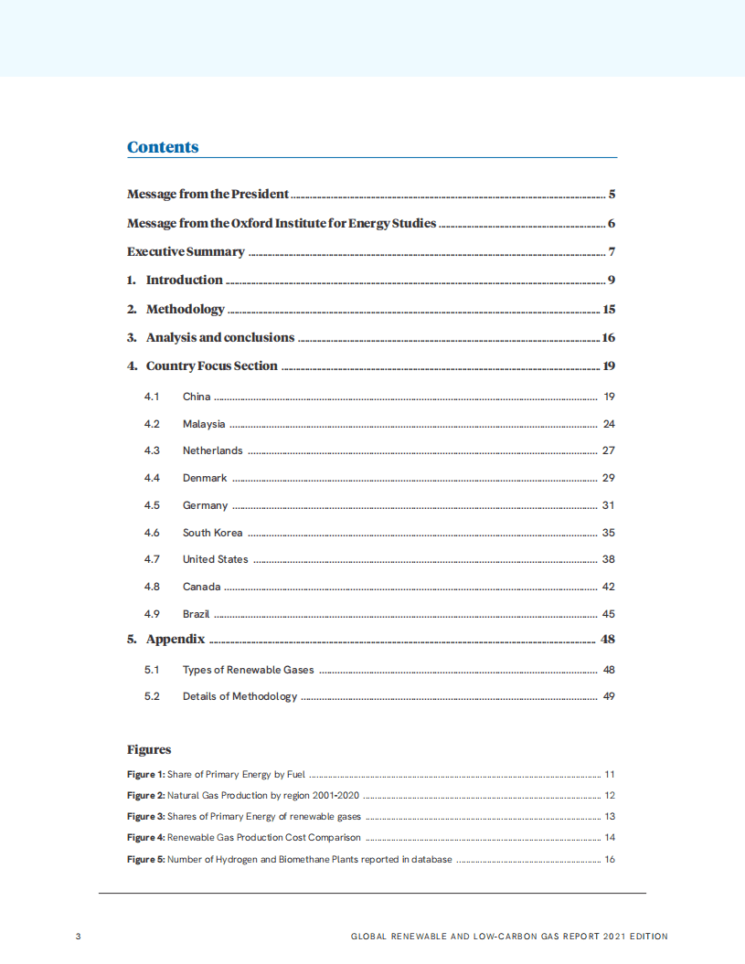 国际煤气联盟：全球可再生和低碳气体报告（2021版）（英文版）.pdf 第2页