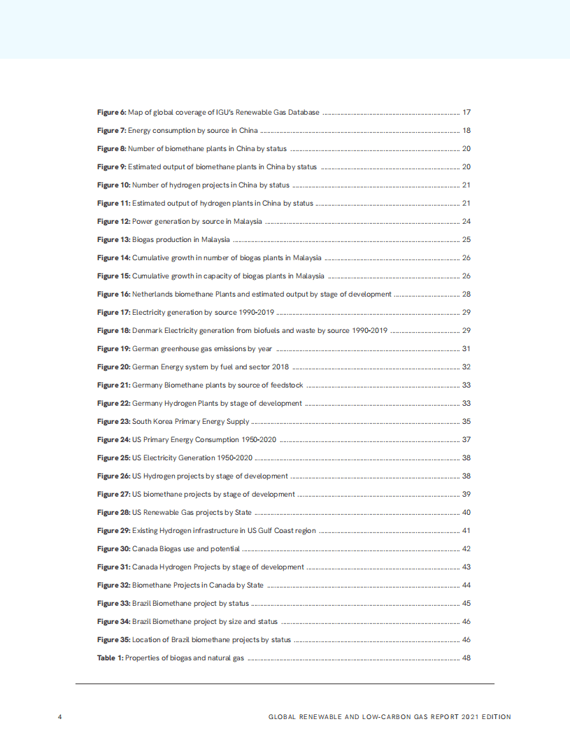 国际煤气联盟：全球可再生和低碳气体报告（2021版）（英文版）.pdf 第3页