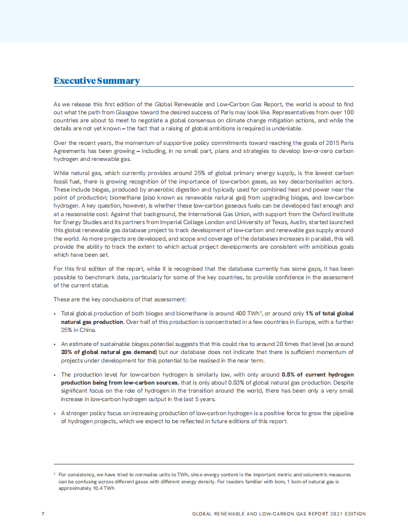 国际煤气联盟：全球可再生和低碳气体报告（2021版）（英文版）.pdf 第6页