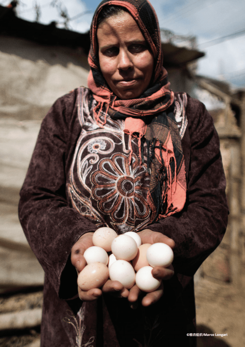 联合国粮农组织：抗微生物药物耐药性行动计划（2021-2025年）-支持粮食及农业部门的创新和韧性.pdf 第3页