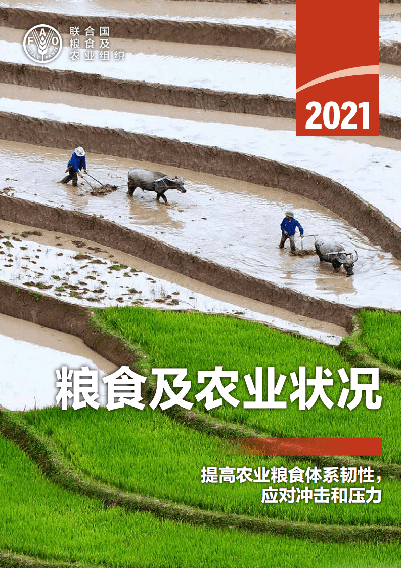 联合国粮食与农业组织：2021年粮食及农业状况-提高农业粮食体系韧性，应对冲击和压力.pdf 第1页