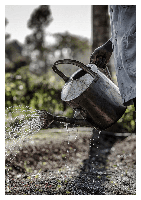 联合国粮食与农业组织：价值数千亿美元的机遇 &mdash; 转变农业支持用途，促进粮食体系转型.pdf 第3页