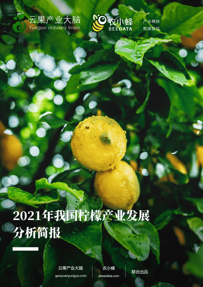 农小蜂：2021年我国柠檬产业分析简报.pdf 第1页