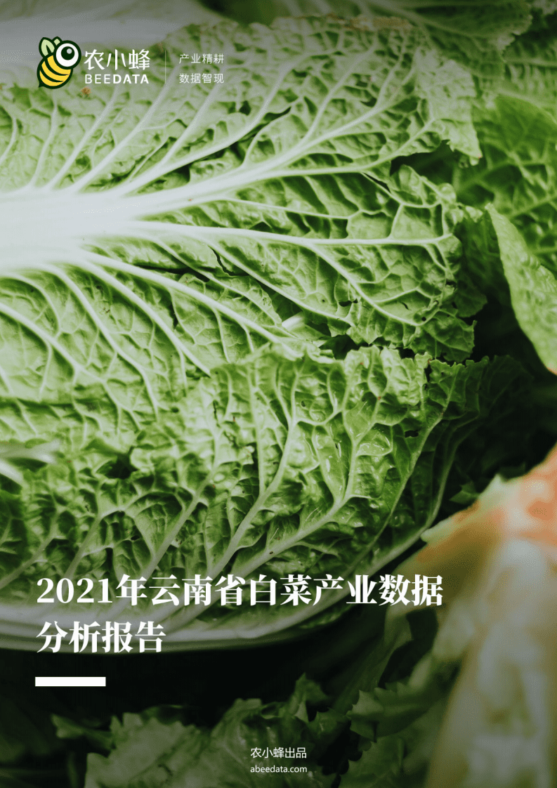 农小蜂：2021年云南省白菜产业数据分析报告.pdf 第1页
