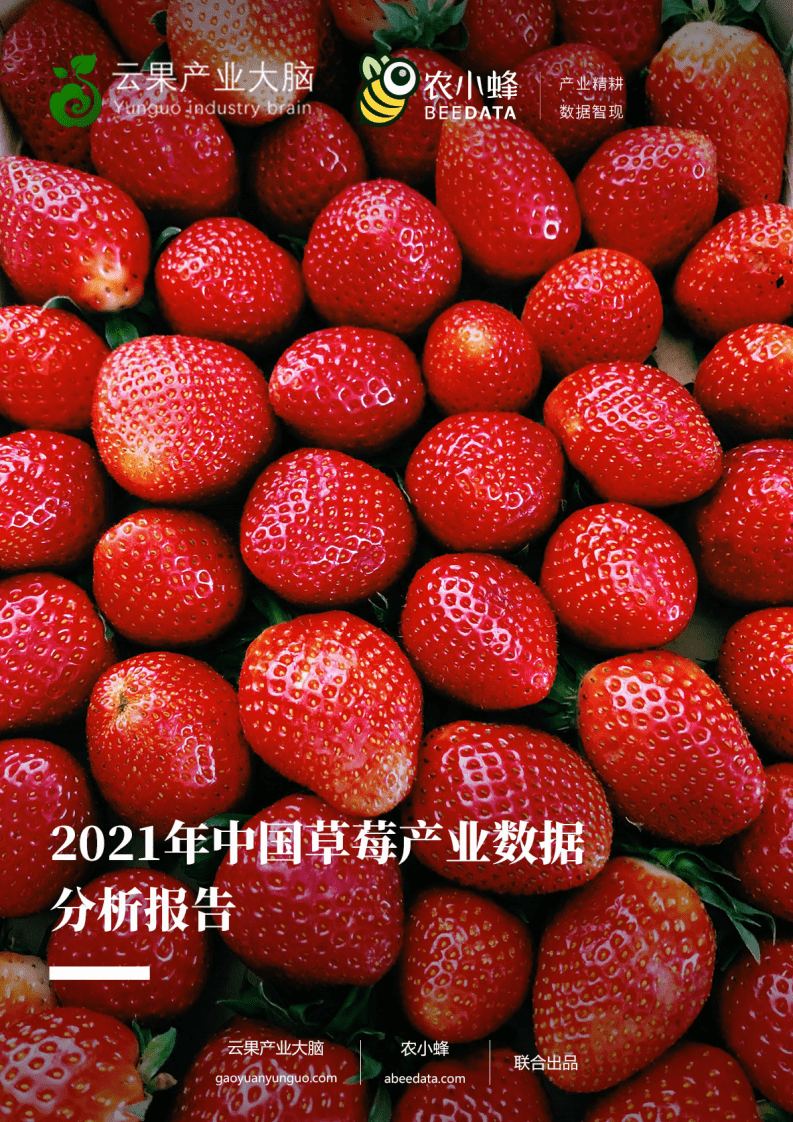 农小蜂：2021年中国草莓产业数据分析报告.pdf 第1页