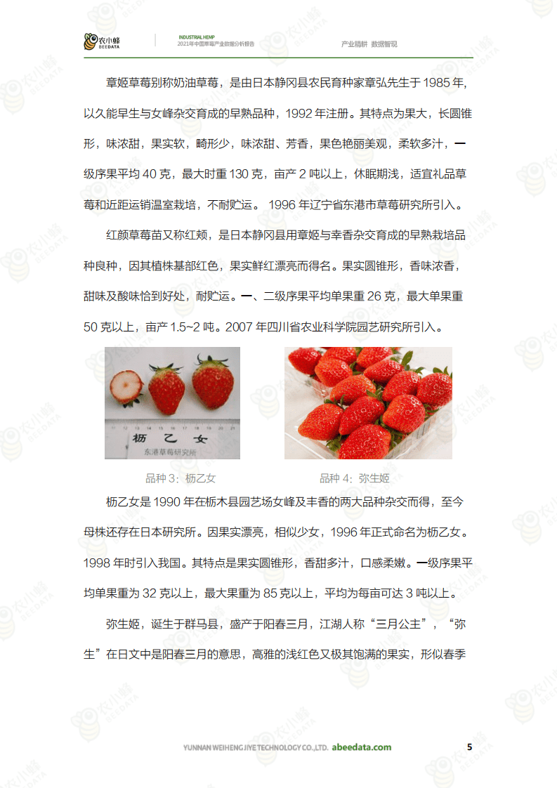 农小蜂：2021年中国草莓产业数据分析报告.pdf 第6页