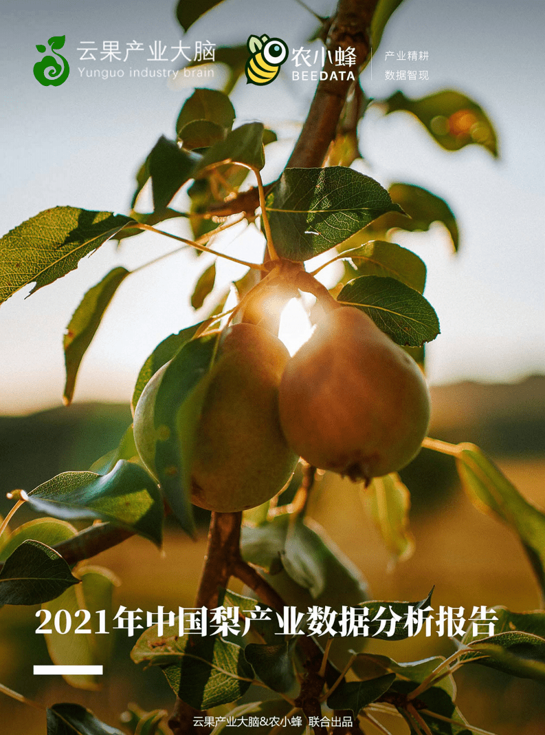 农小蜂：2021年中国梨产业数据分析报告.pdf 第1页