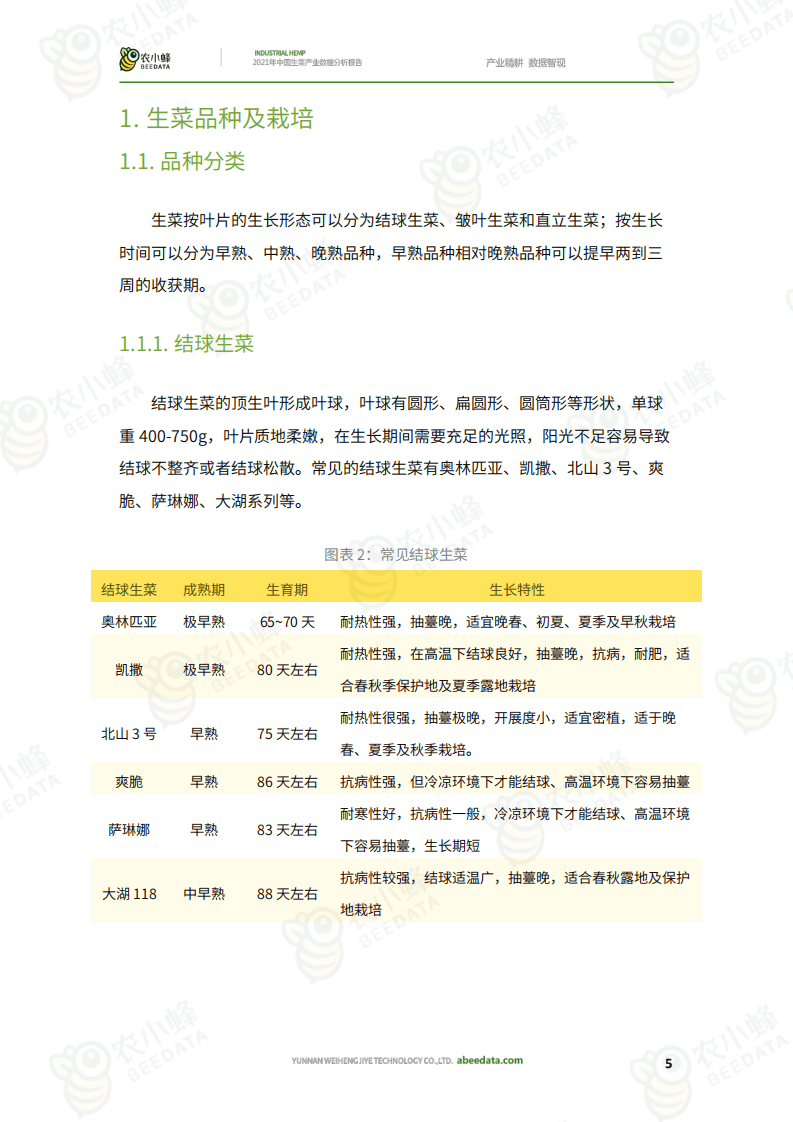 农小蜂：2021年中国生菜产业数据分析报告.pdf 第6页